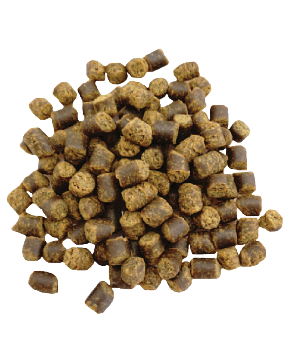 Zuke's Puppy Naturals - Lamb & Chickpea